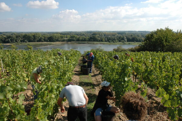 2010 - Croix Picot - septembre (32) 2010 - Croix Picot - septembre (32)